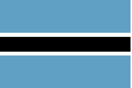 Panel online y móvil en Botswana
