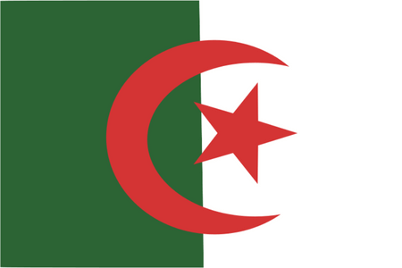 Panel online y móvil en Algeria