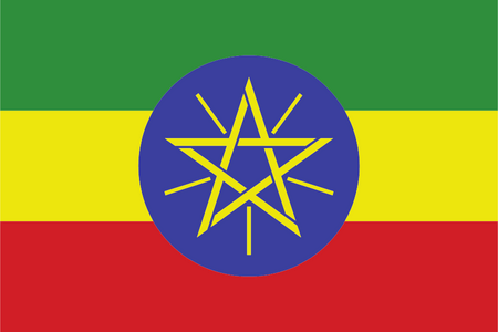 Panel de investigación de mercado en Etiopía