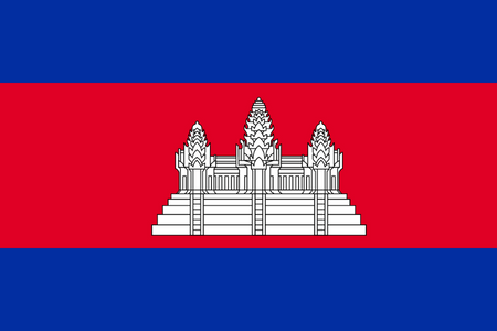 Panel de investigación online en Camboya