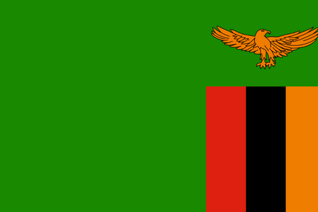 Panel online y móvil en Zambia