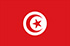 Panel de investigación online en Túnez