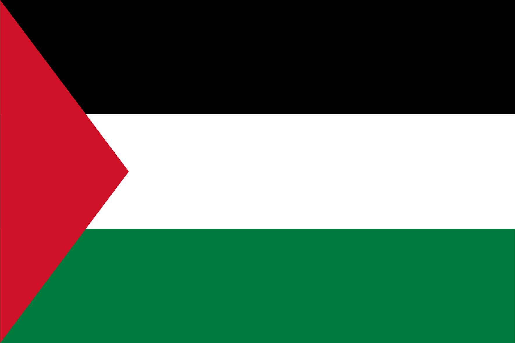 Panel online y móvil en Palestina
