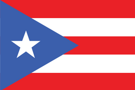 Panel de investigación online en Puerto Rico