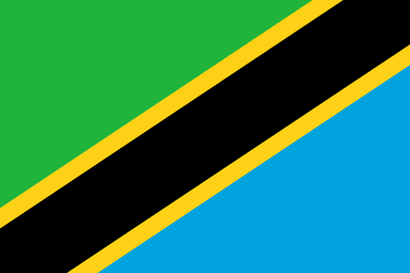 Panel online y móvil en Tanzania