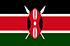 Panel de investigación de mercado en Kenia
