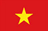 Panel de investigación online en Vietnam