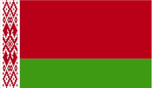 Panel de investigación online en Belarús