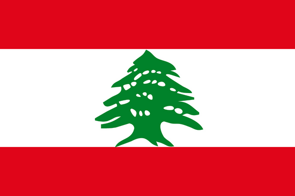 Panele online y móvil en Líbano