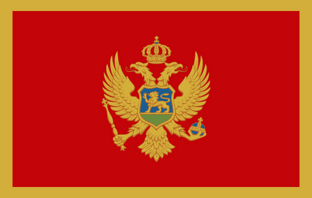 Panel online en Montenegro