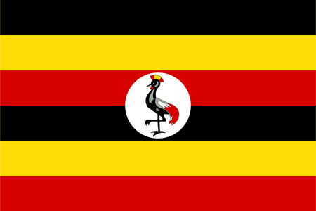 Panel de investigación de mercado en Uganda