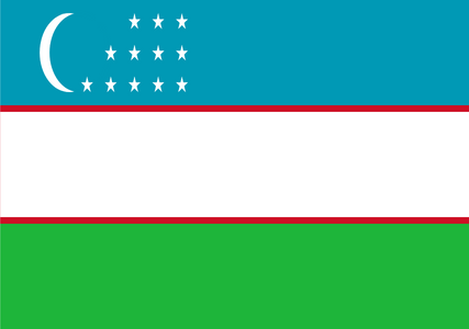 Panel online y móvil en Uzbekistán