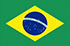 Panel online y móvil en Brasil