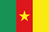 Panel de investigación online en Camerún