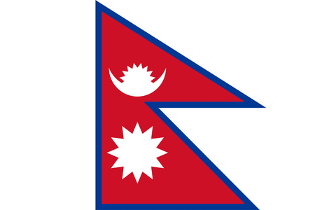 Panel online en Nepal
