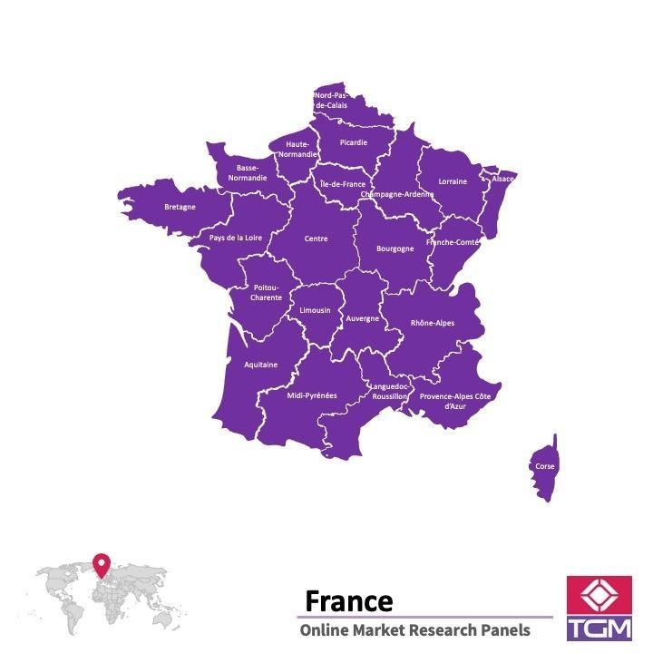 Panel online en Francia | Investigación de mercado y encuestas en Francia