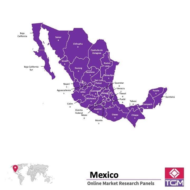 Panel online en Mexico | Investigación de mercado y encuestas en Mexico