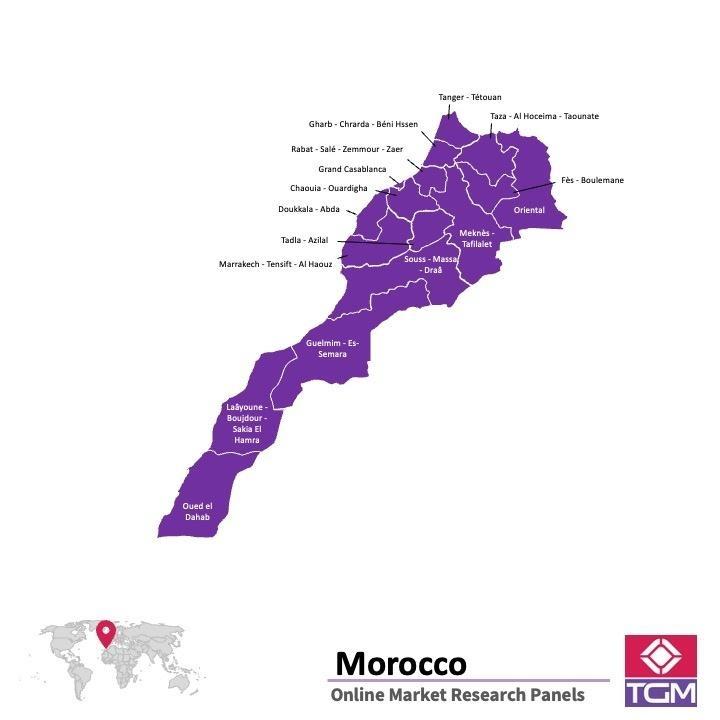 Panel online en Marruecos | Investigación de mercado y encuestas en Marruecos