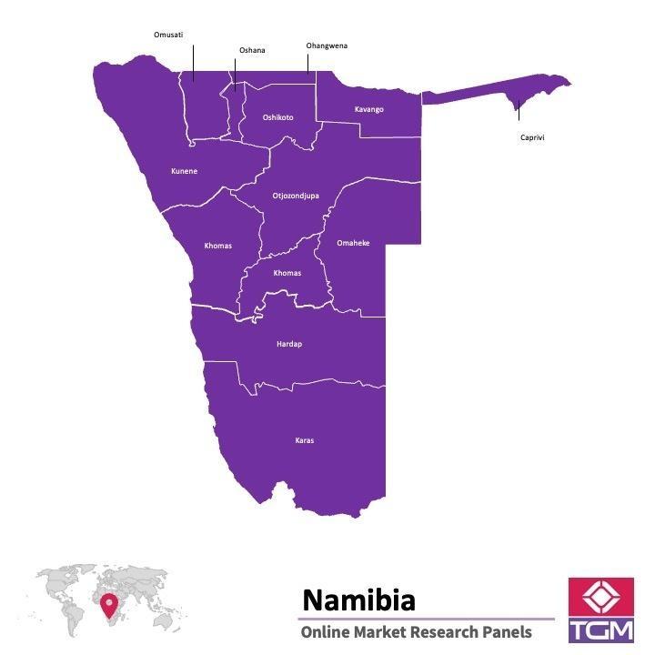 Panel online en Namibia | Investigación de mercado y encuestas en Namibia