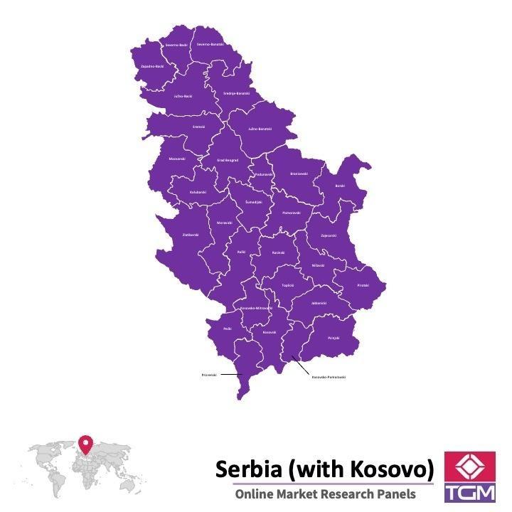 Panel online en Serbia | Investigación de mercado y encuestas en Serbia
