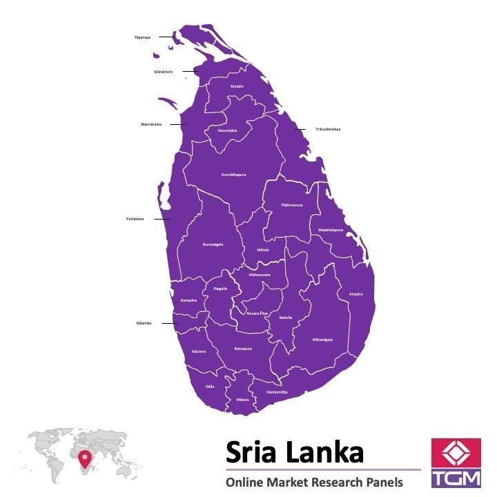 Panel online en Sri Lanka | Investigación de mercado y encuestas en Sri Lanka