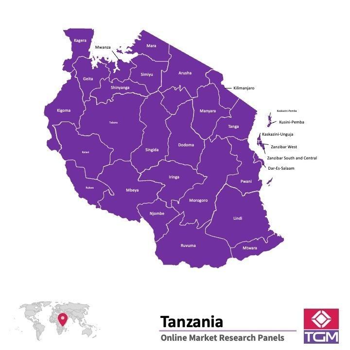 Panel online en Tanzania | Investigación de mercado y encuestas en Tanzania