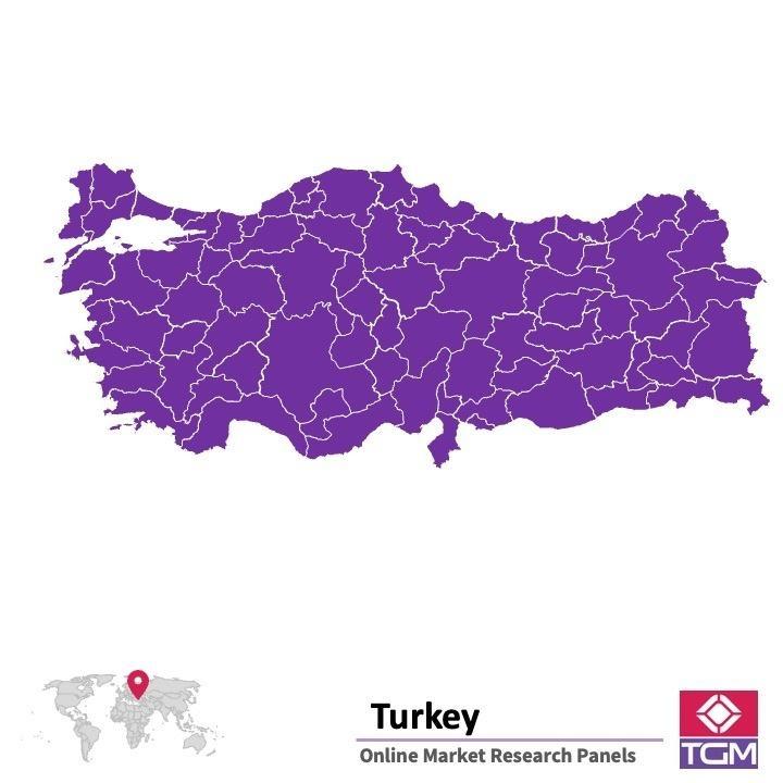 Panel online en Turquía | Investigación de mercado y encuestas en Turquía