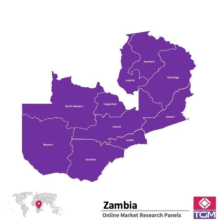 Panel online en Zambia | Investigación de mercado y encuestas en Zambia