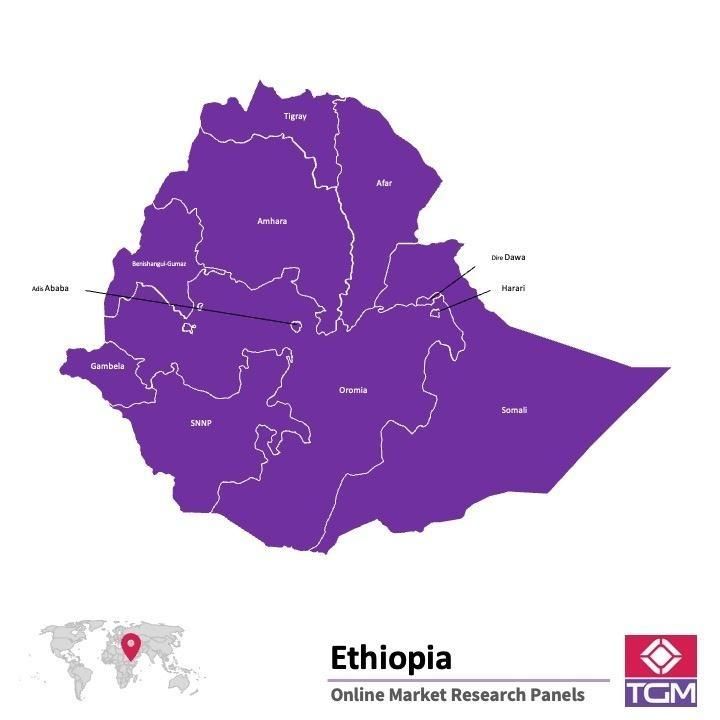 Panel online en Etiopía |  Investigación de mercado y encuestas en Etiopía
