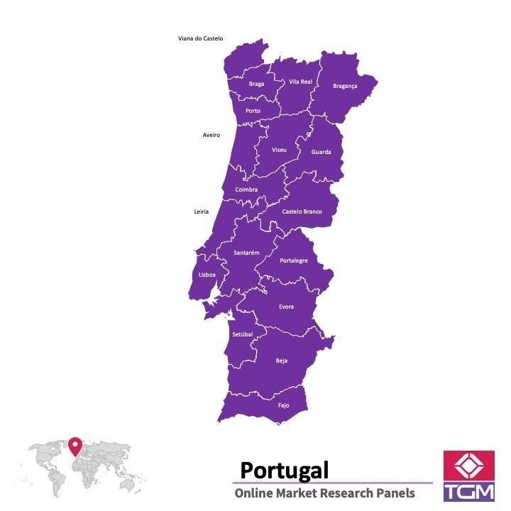 Panel online en Portugal |  Investigación de mercado y encuestas en Portugal