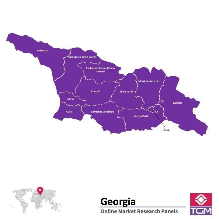 Panel online en Georgia |  Investigación de mercado y encuestas en Georgia