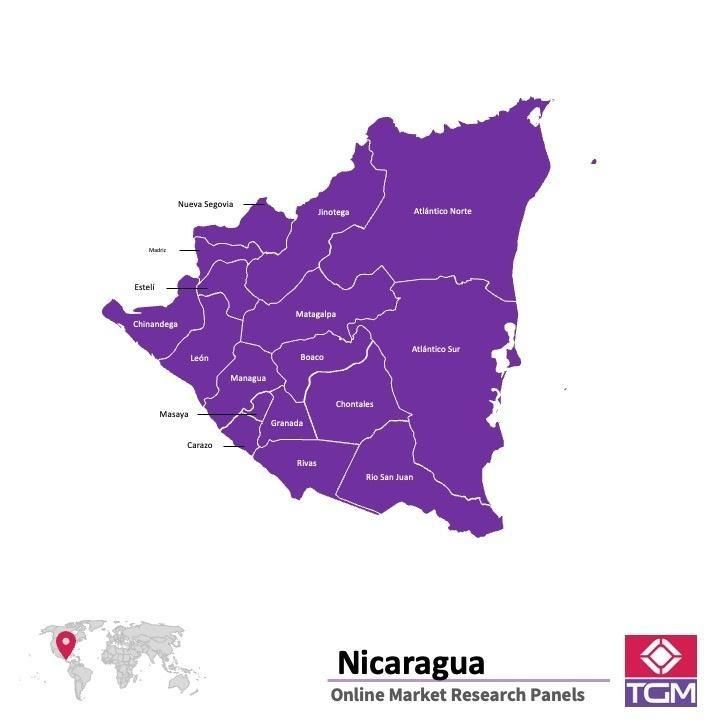 Panel online en Nicaragua |  Investigación de mercado y encuestas en Nicaragua