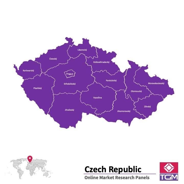 Panel online en República Checa |  Investigación de mercado y encuestas en República Checa