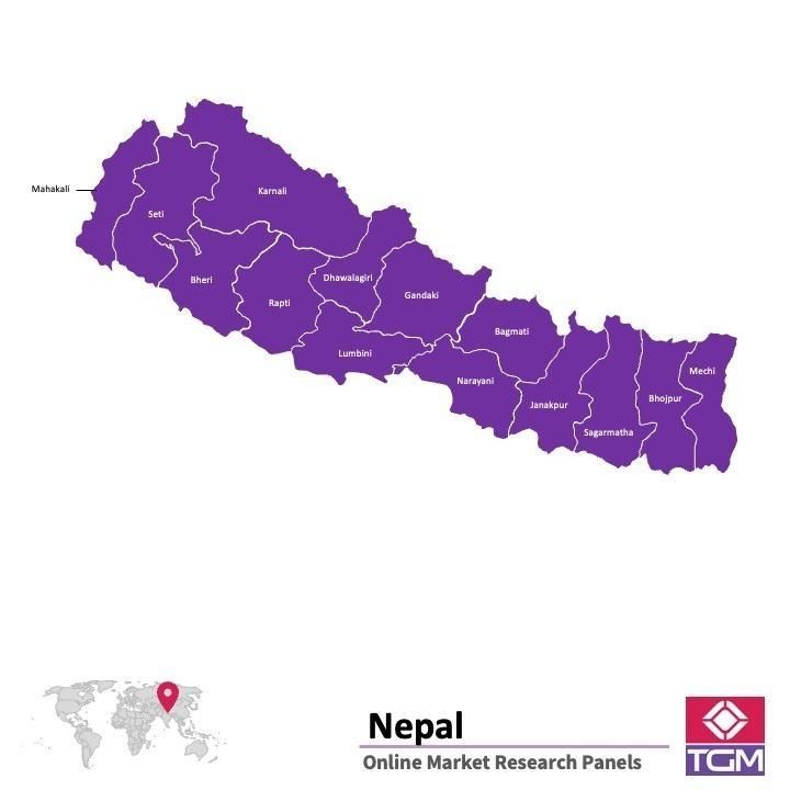 Panel online en Nepal |  Investigación de mercado y encuestas en Nepal
