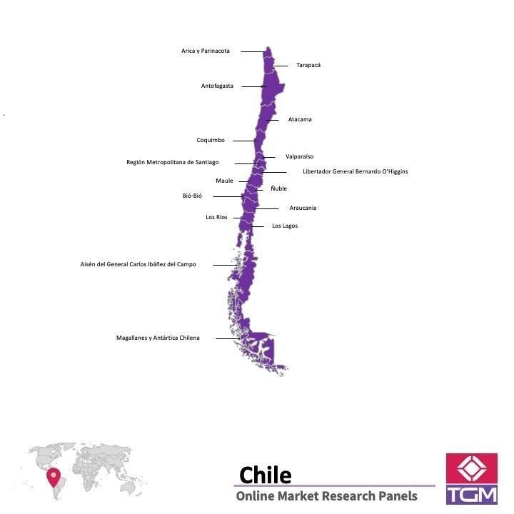 Panel online en Chile |  Investigación de mercado y encuestas en Chile