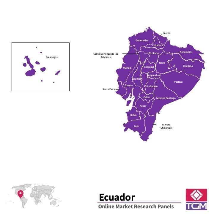 Panel online en Ecuador |  Investigación de mercado y encuestas en Ecuador