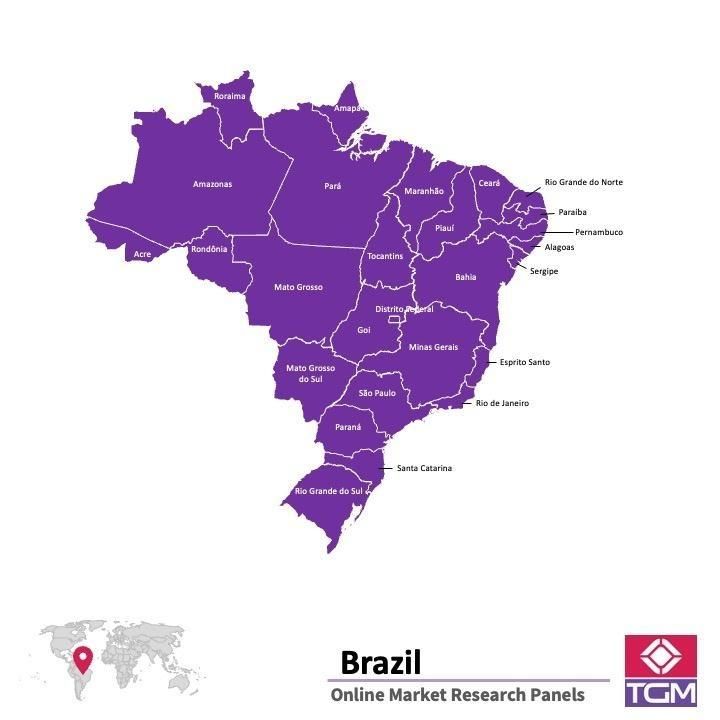 Panel online en Brasil |  Investigación de mercado y encuestas en Brasil