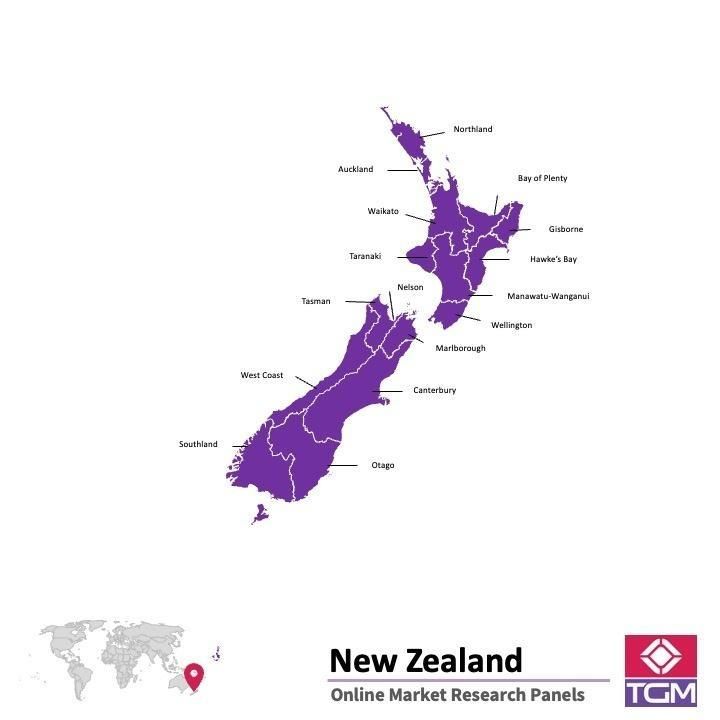 Panel online en Nueva Zelanda |  Investigación de mercado y encuestas en Nueva Zelanda