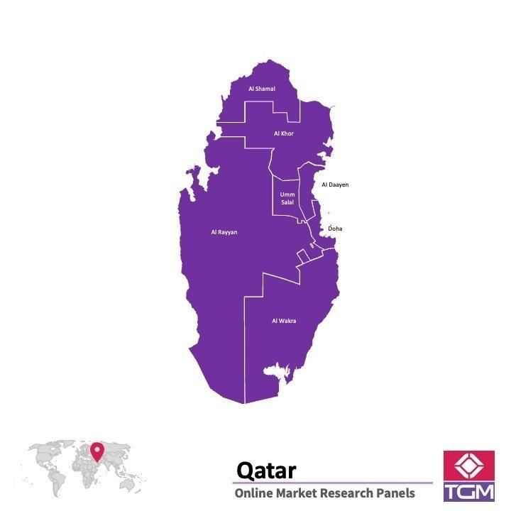 Panel online en Qatar |  Investigación de mercado y encuestas en Qatar