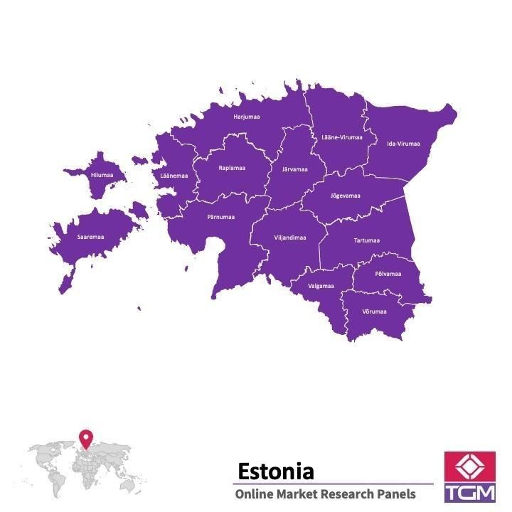 Panel online en Estonia |  Investigación de mercado y encuestas en Estonia