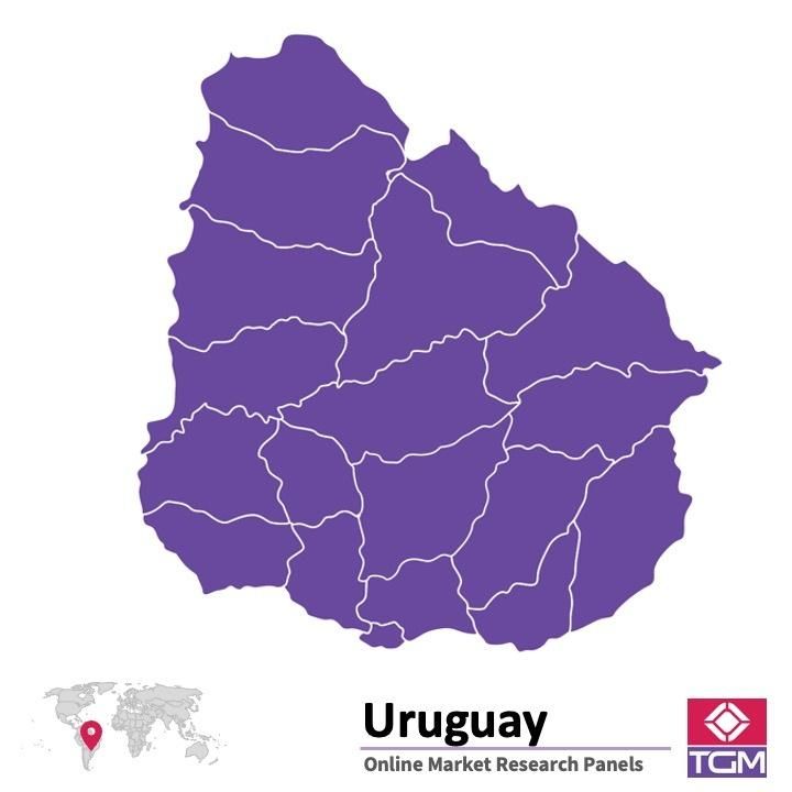 Panel online en Uruguay |  Investigación de mercado y encuestas en Uruguay