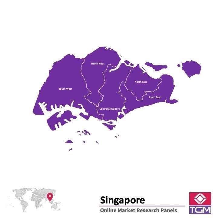 Panel online en Singapur |  Investigación de mercado y encuestas en Singapur