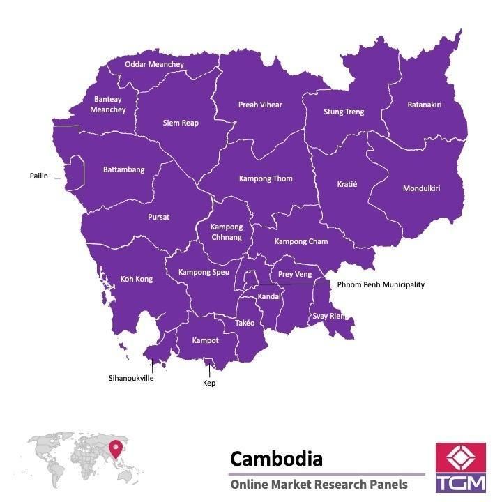 Panel online en Camboya |  Investigación de mercado y encuestas en Camboya