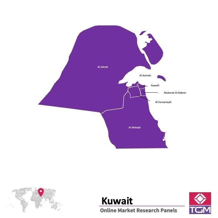 Panel online en Kuwait |  Investigación de mercado y encuestas en Kuwait