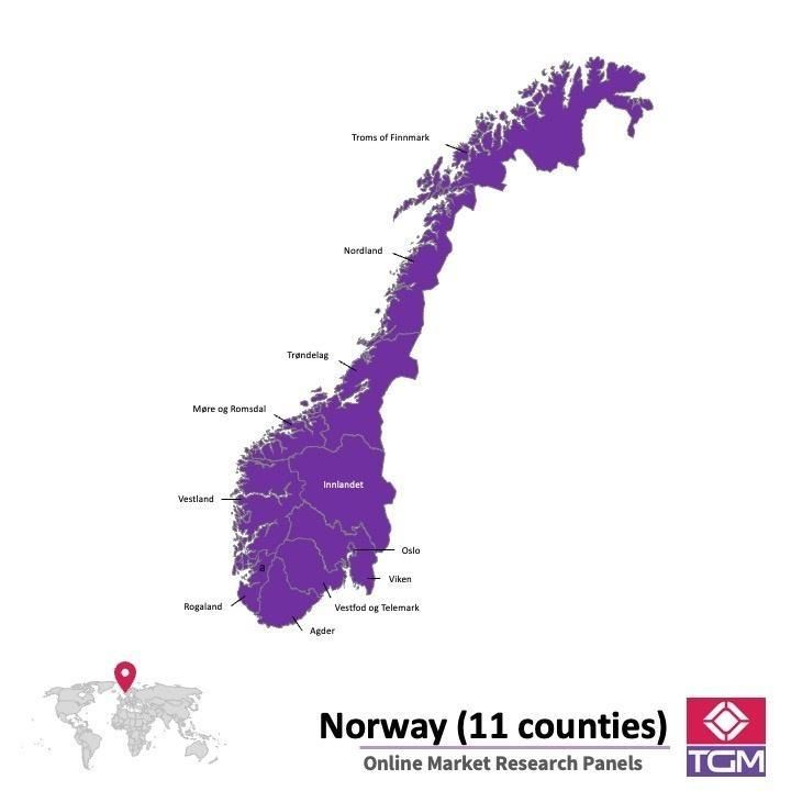 Panel online en Noruega |  Investigación de mercado y encuestas en Noruega