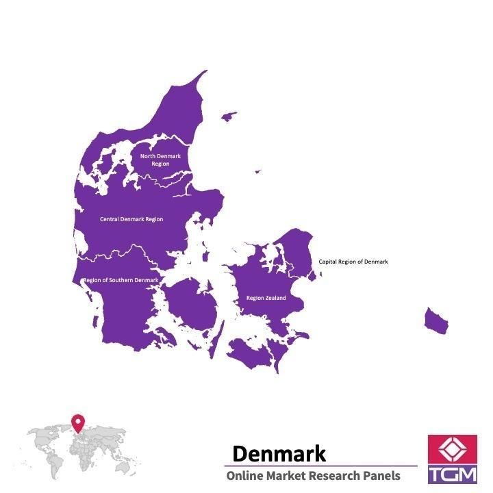 Panel online en Dinamarca |  Investigación de mercado y encuestas en Dinamarca