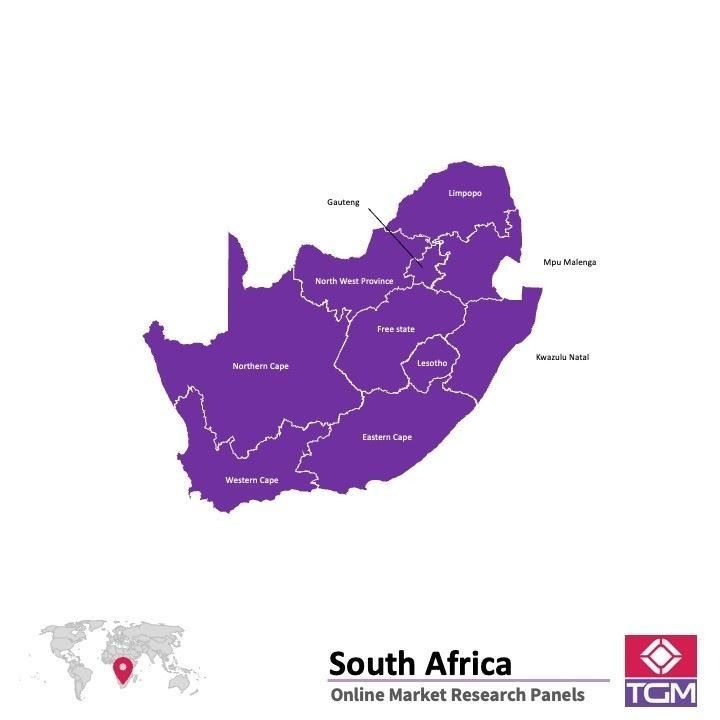 Panel online en Sudáfrica |  Investigación de mercado y encuestas en Sudáfrica
