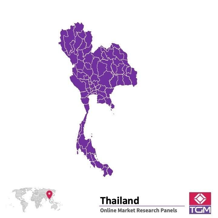 Panel online en Tailandia |  Investigación de mercado y encuestas en Tailandia
