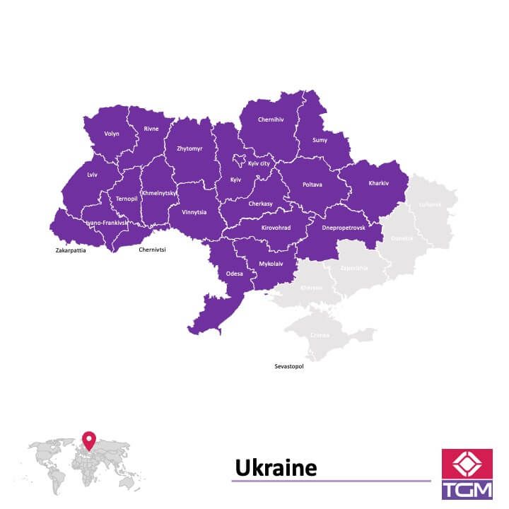 Panel online en Ucrania |  Investigación de mercado y encuestas en Ucrania