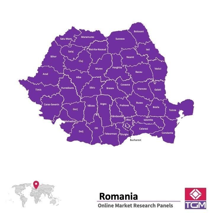 Panel online en Rumania |  Investigación de mercado y encuestas en Rumania